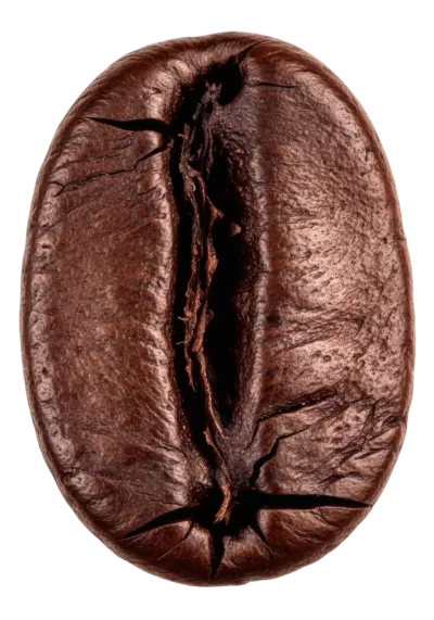 Imagen PNG para descargar